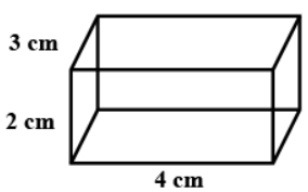 Draw the net of the following cuboid: